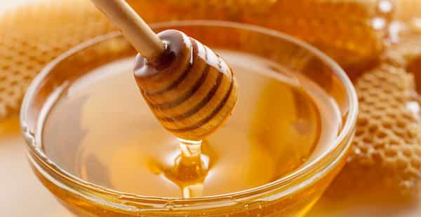خرید عسل شهد کوه + قیمت فروش استثنایی